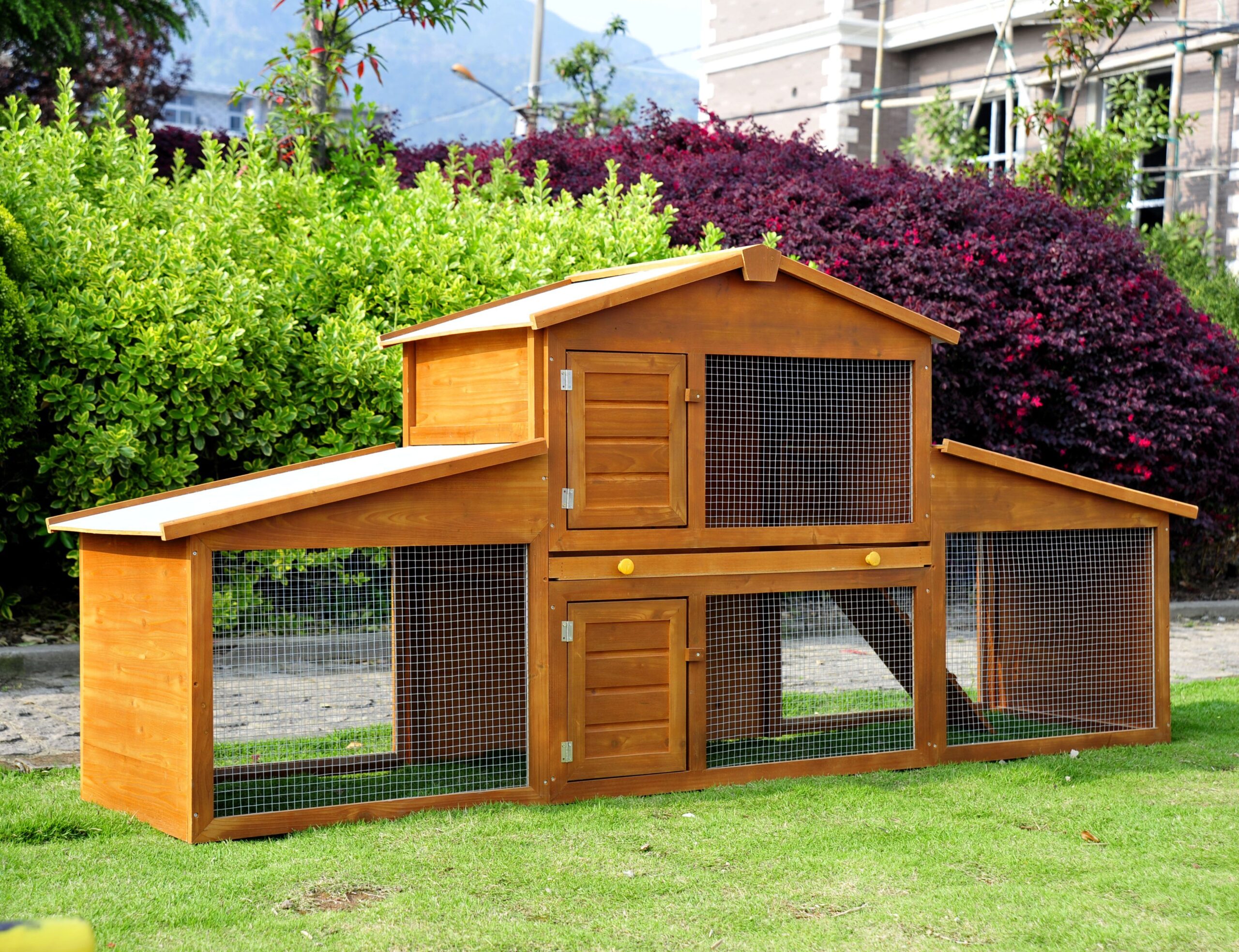 All You Need To Know About Rabbit Hutches